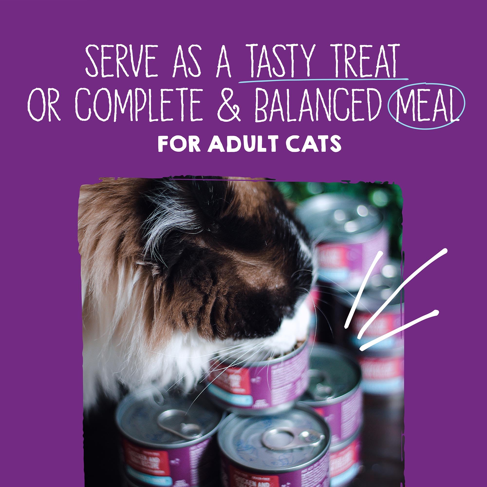Stella & Chewy's pâté servie dans une coupelle pour manger facilement