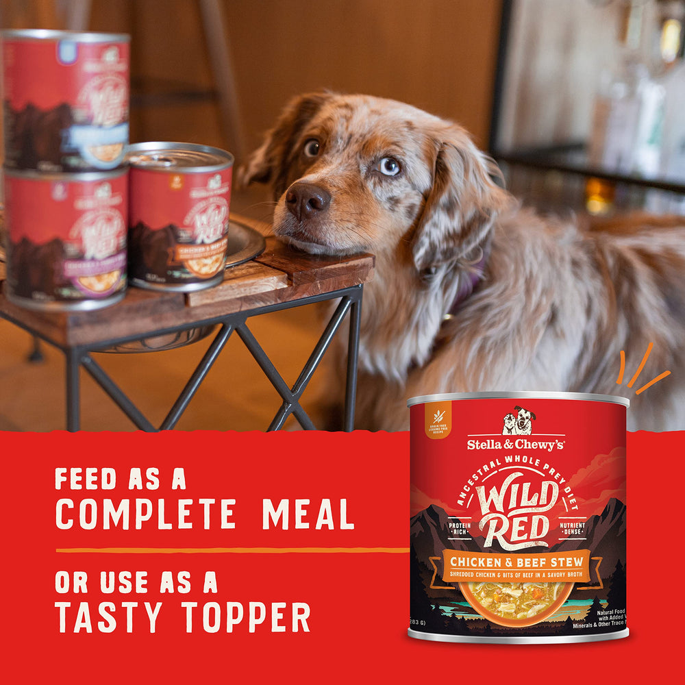 Stella & Chewy's chien mangeant en cuisine lifestyle apportant variété et plaisir