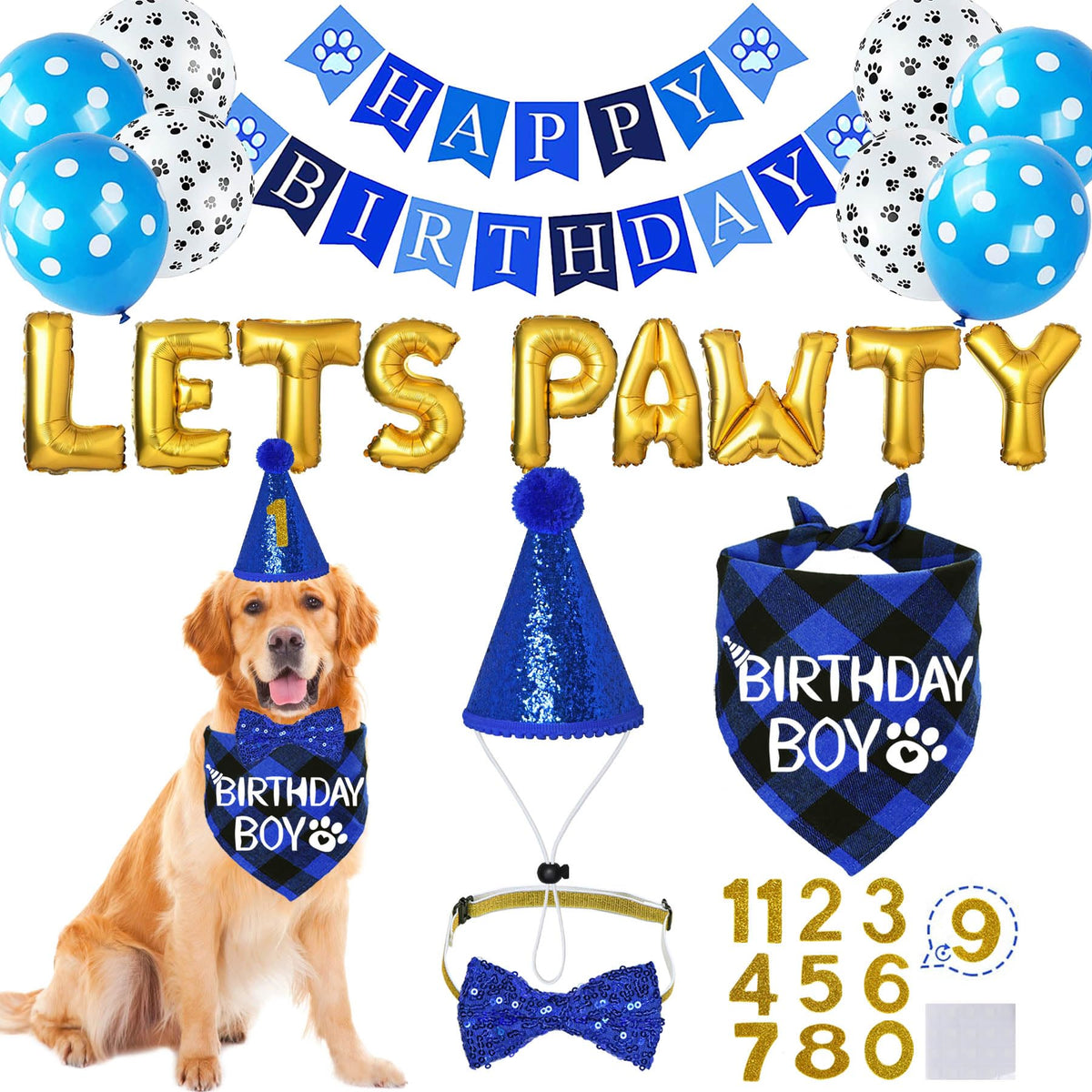 STMK vue face du kit complet pour fête de chien, prêt à l'emploi