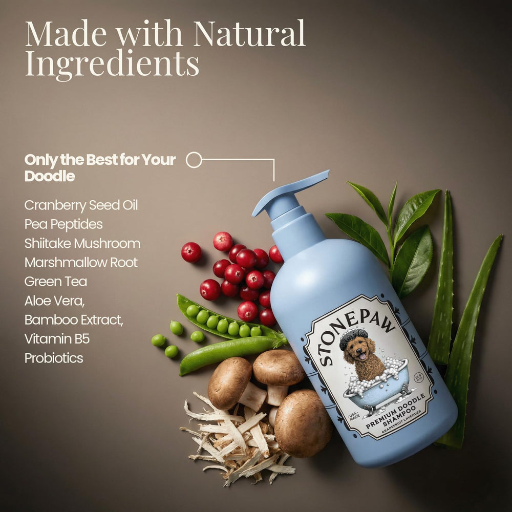 Stonepaw comparaison taille bouteille 16oz pour évaluer quantité
