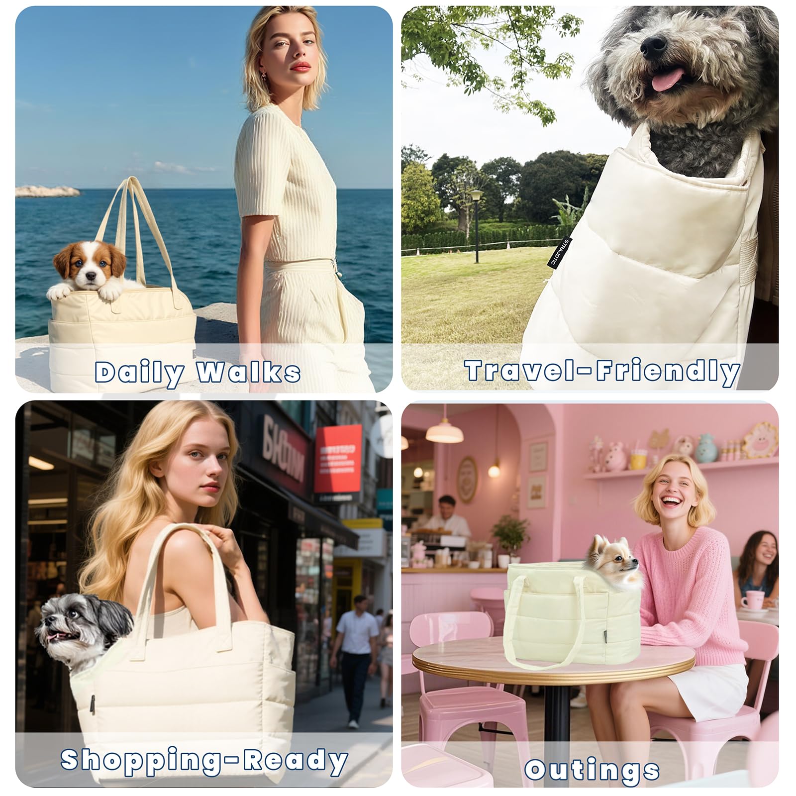 STRAODTIC comparaison taille montrant chien de petite race et proportions