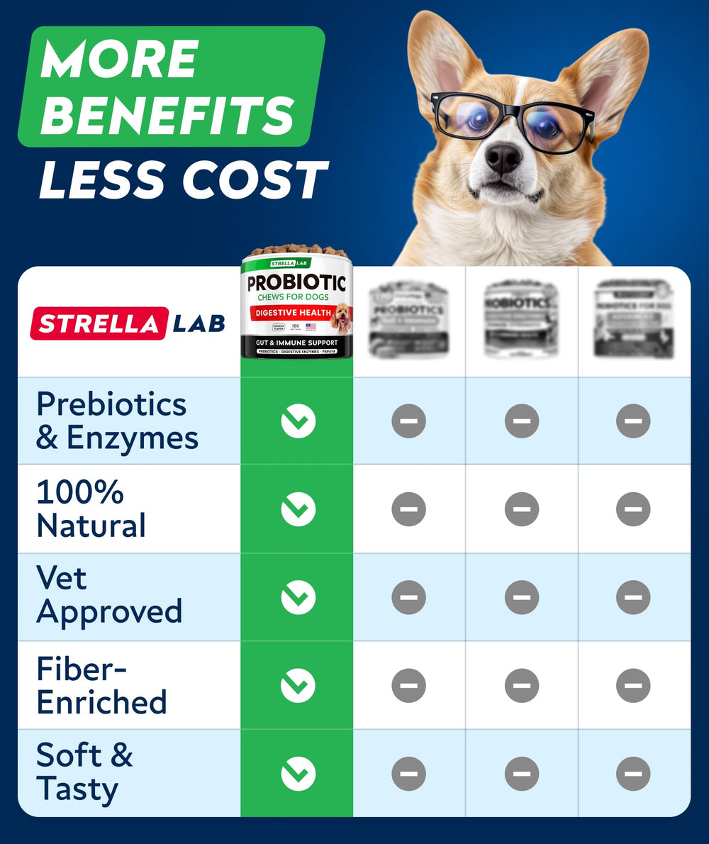 STRELLALAB chien adulte mastiquant le chew pour soutien digestif quotidien