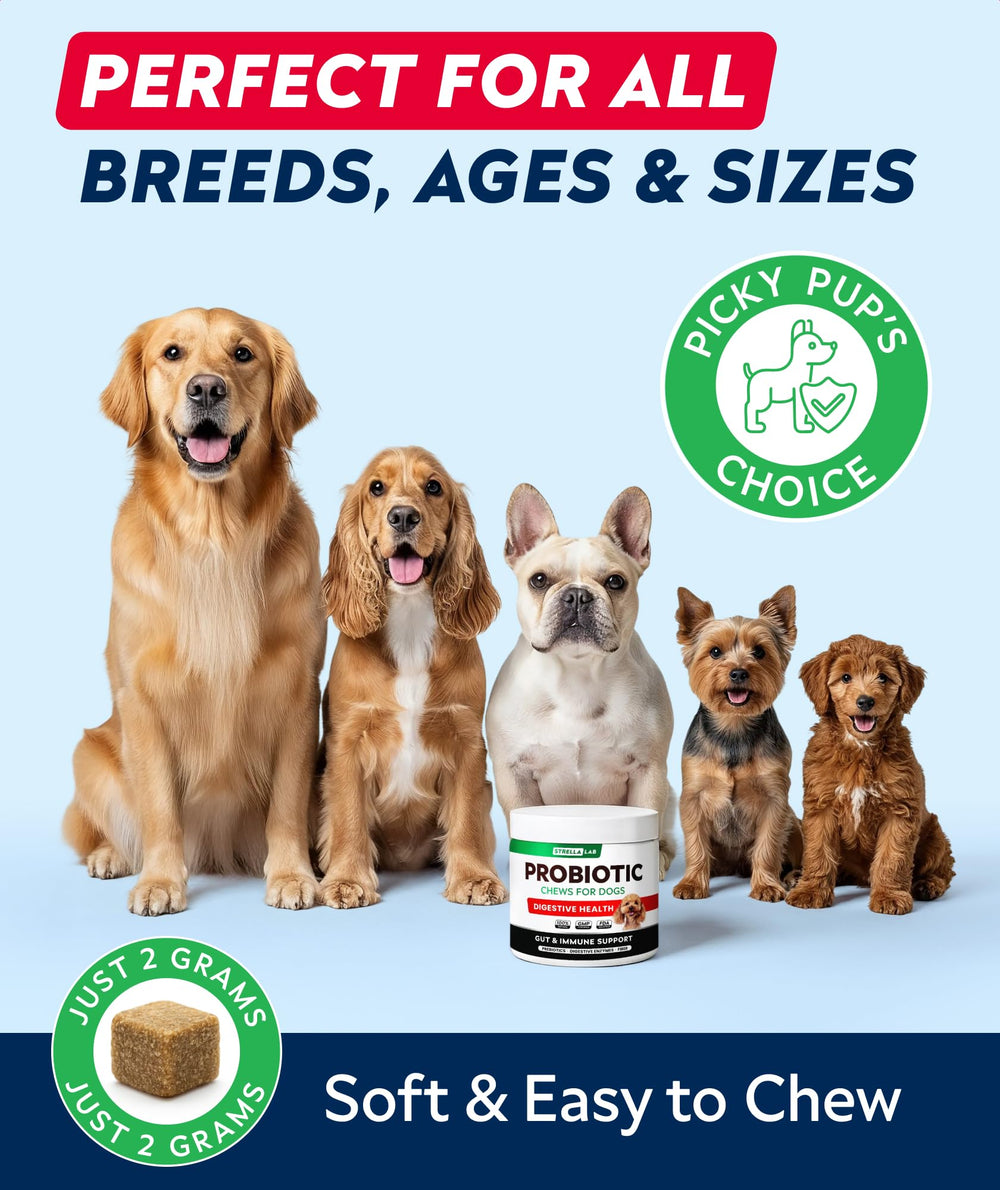 STRELLALAB chiot mange chew illustrant acceptation rapide et goût poulet