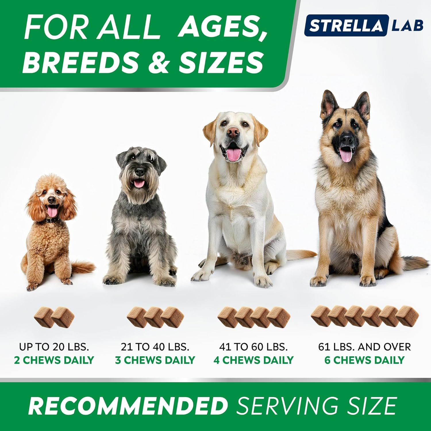 Pot STRELLALAB ouvert révélant l'aspect des croquettes molles