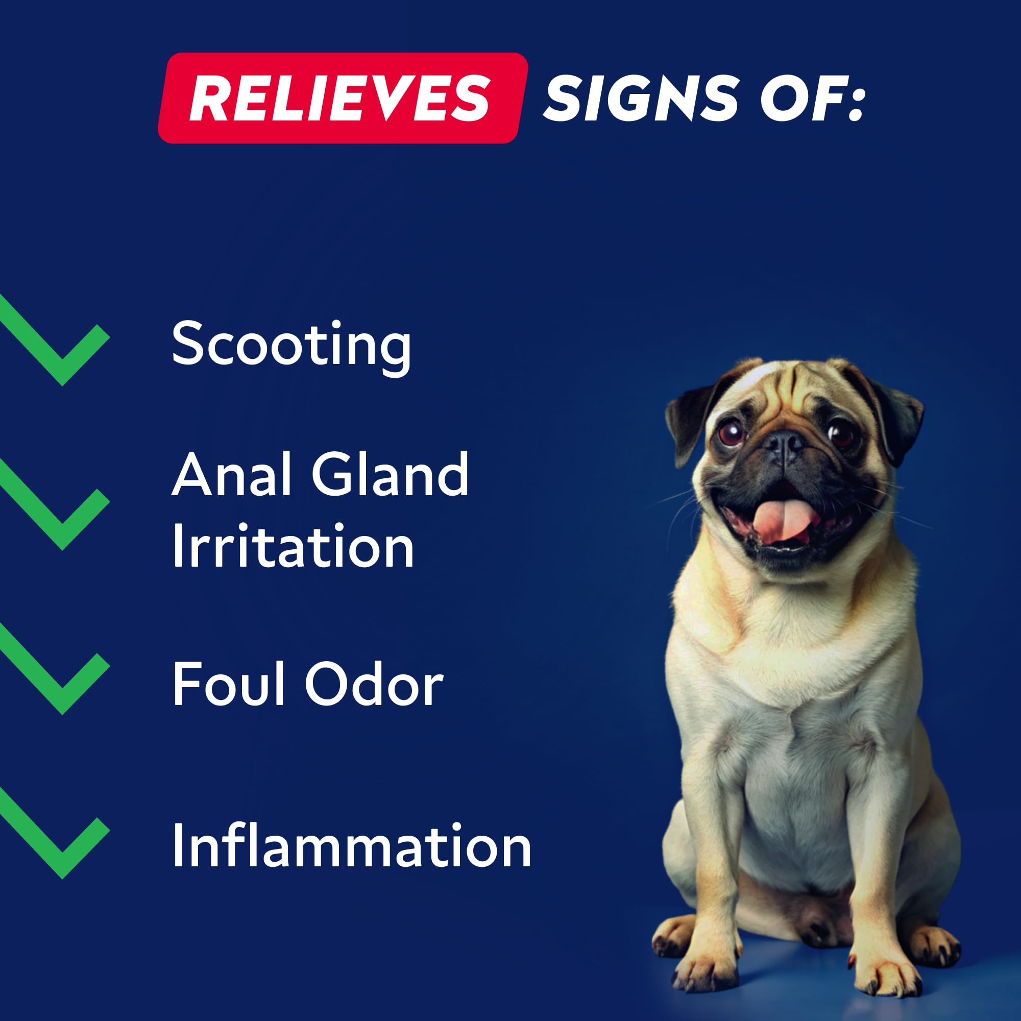 STRELLALAB friandise en usage donnée à un chien pour réduire le scooting