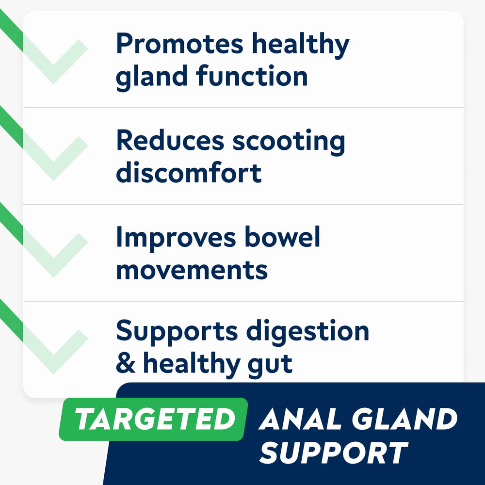 STRELLALAB friandise gros plan montrant texture appétente et soutien digestif