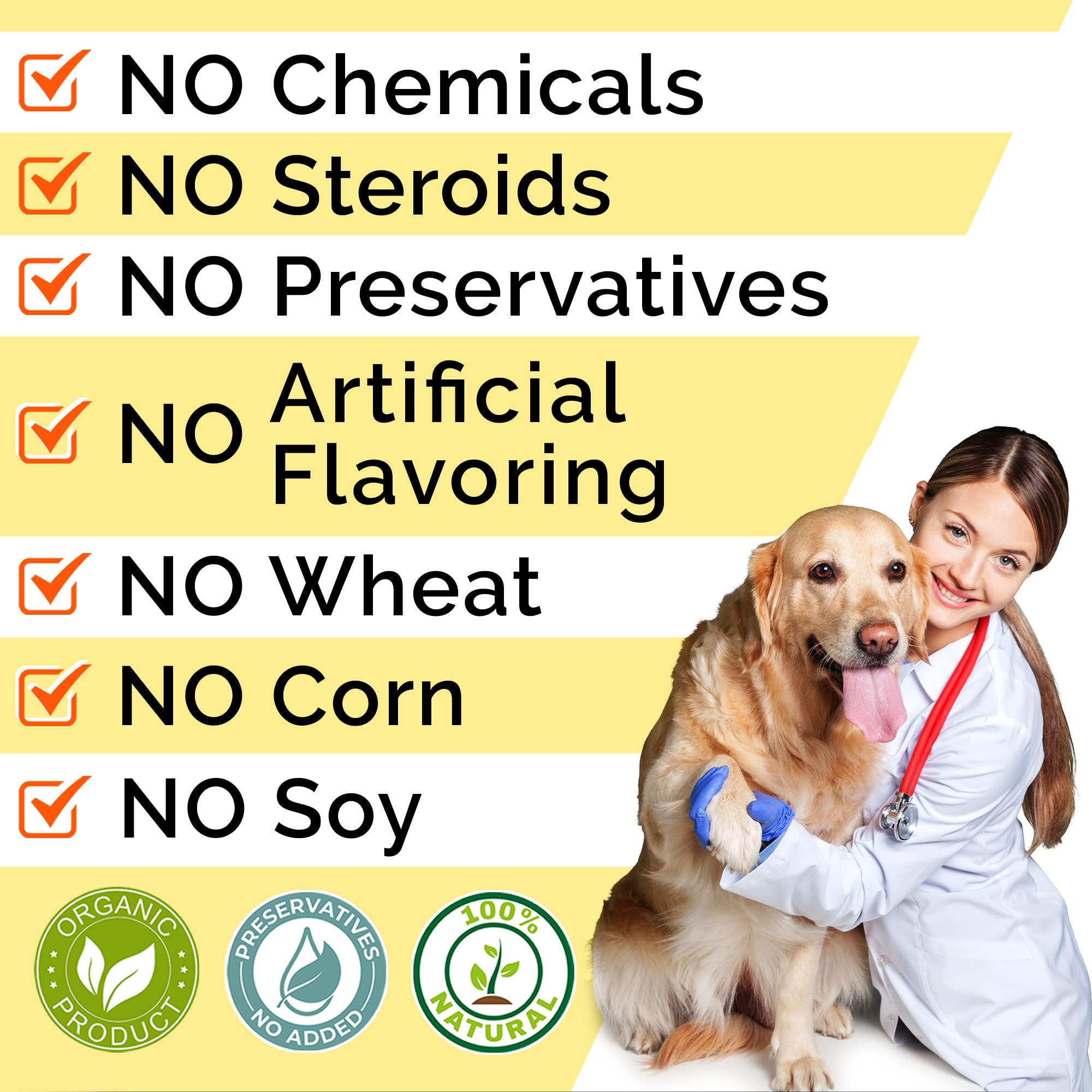STRELLALAB mode de vie chien image montrant confort digestif potentiel