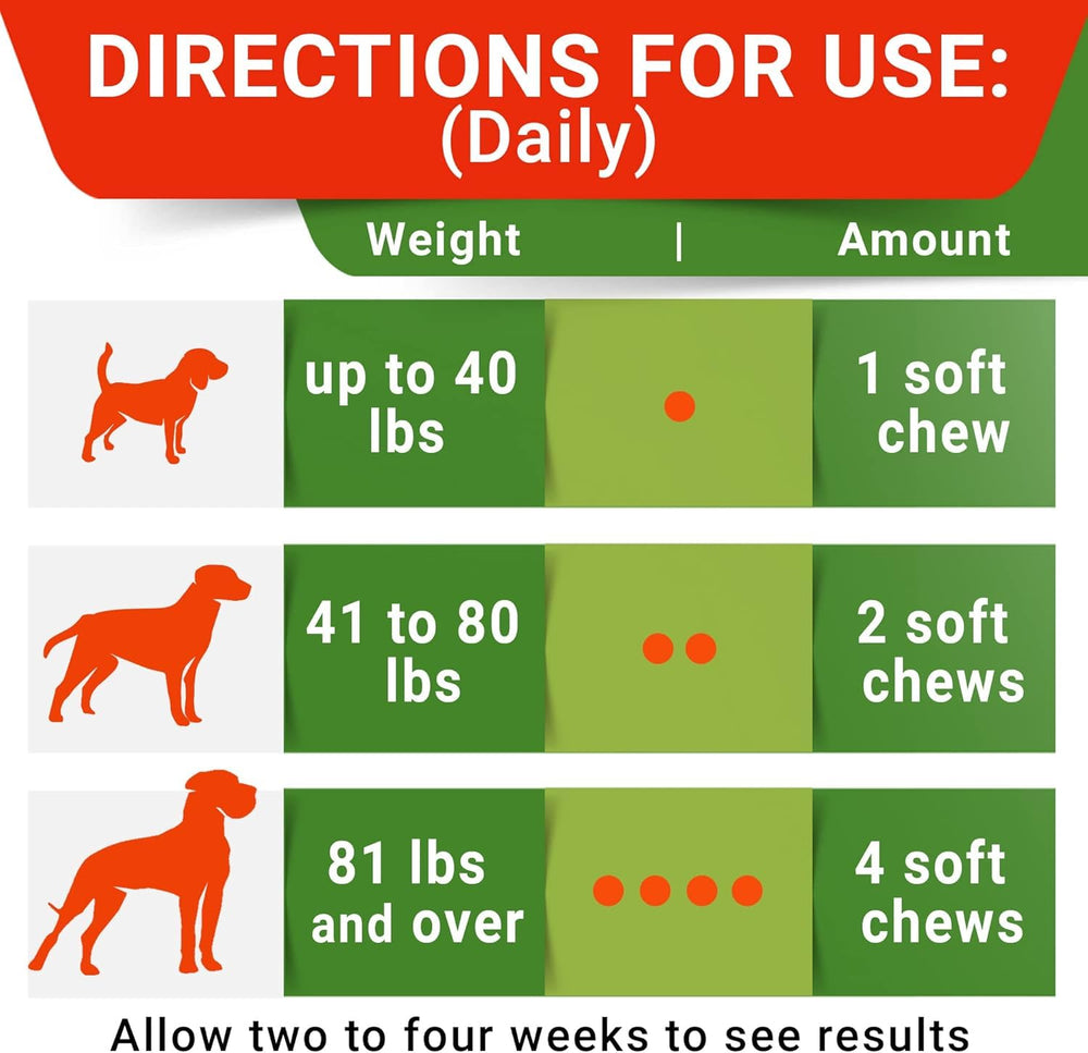 STRELLALAB chien en famille illustrant confort et environnement plus propre