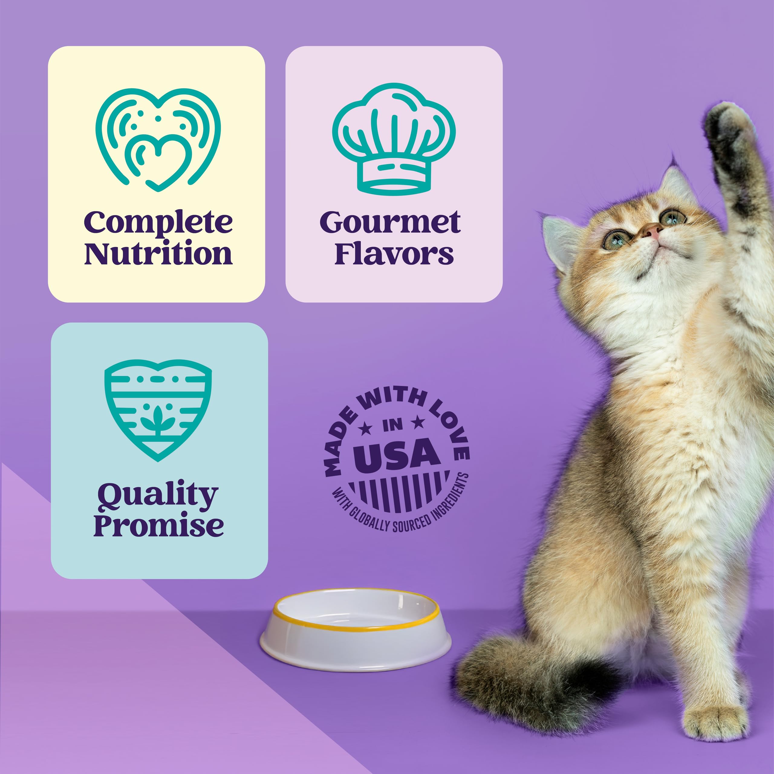 Strongheart assiette servie pour chat, portion individuelle pratique
