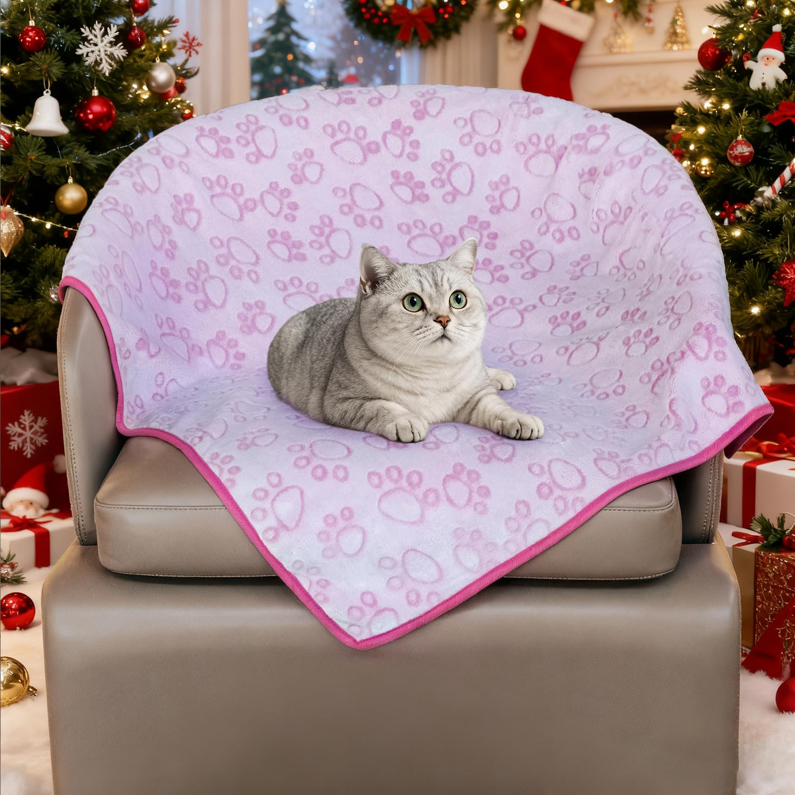 Chat blotti sur couverture Stuffed illustrant douceur et sentiment de sécurité