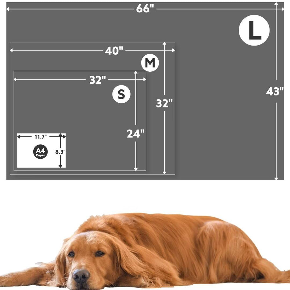 Stuffed couverture à côté d'un chien de taille moyenne montrant l'échelle et confort