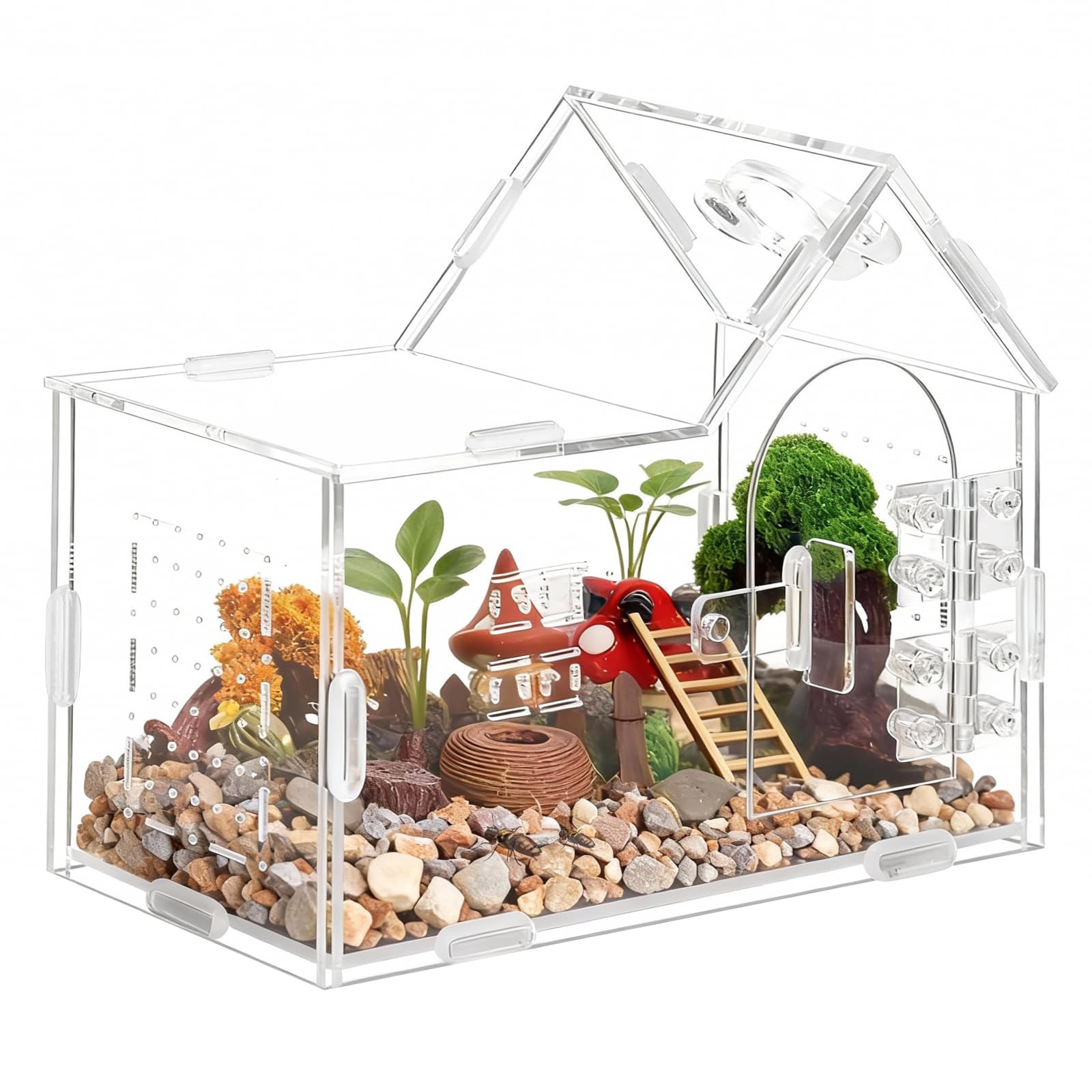 StyEdEk terrarium maison face avant montrant visibilité à 360° pour observation