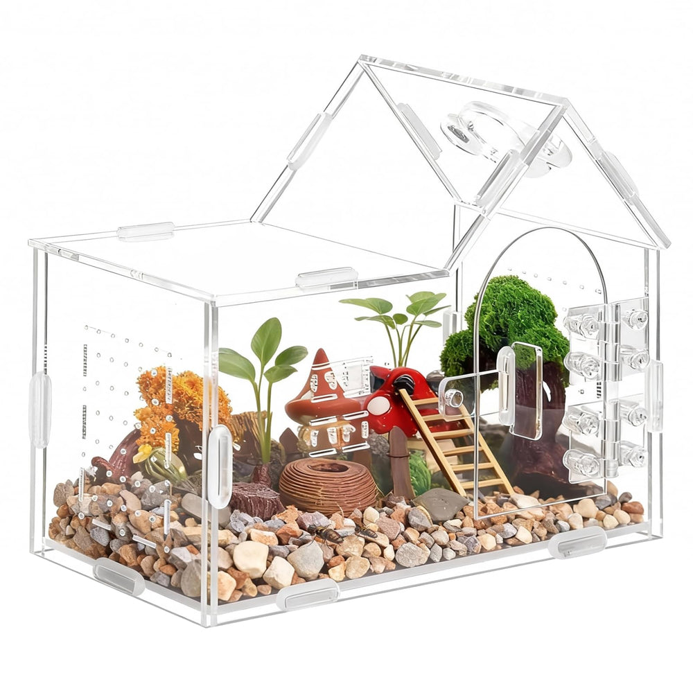 StyEdEk terrarium maison face avant montrant visibilité à 360° pour observation