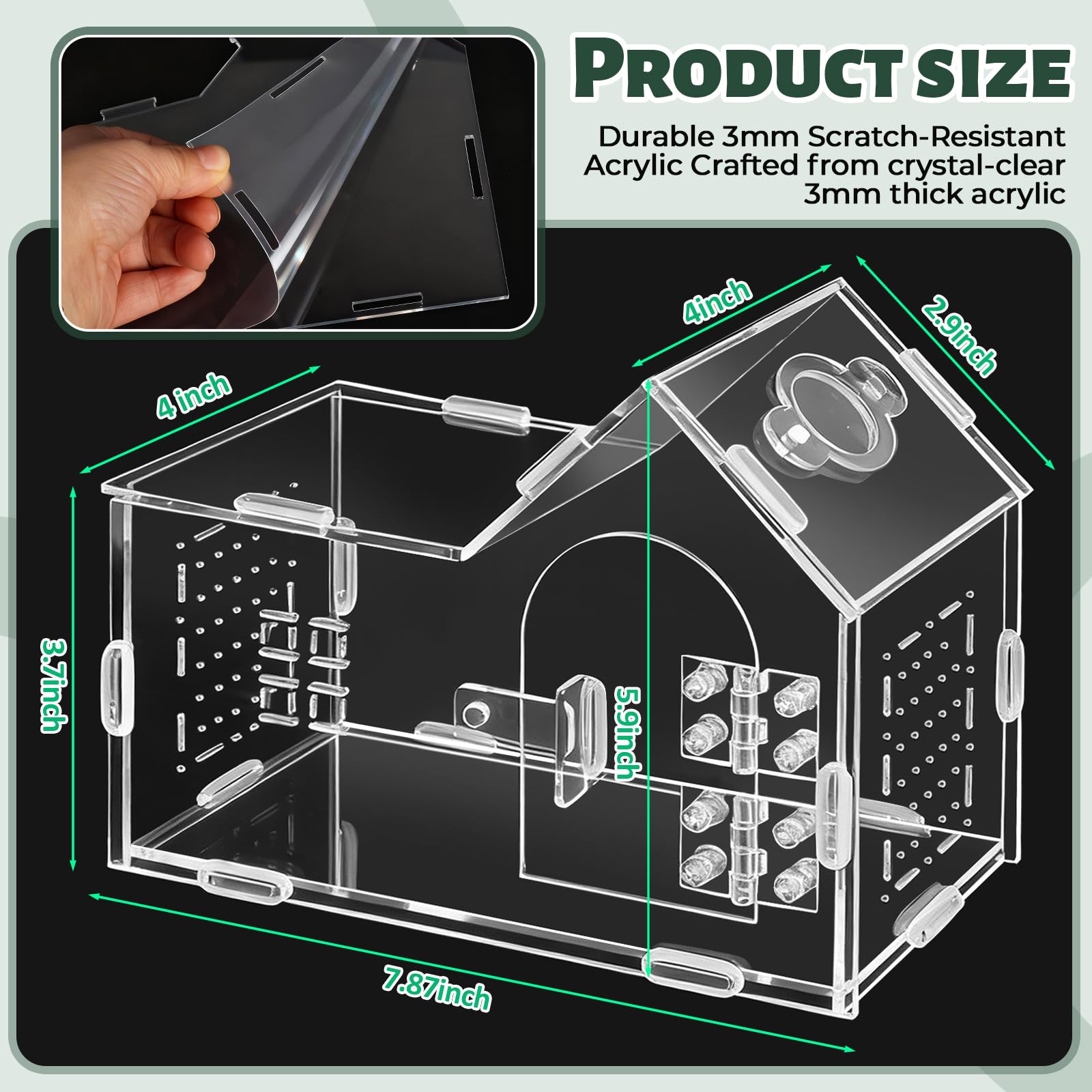 StyEdEk terrarium vue profil illustrant clarté et design élégant pour présentation