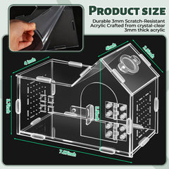 StyEdEk terrarium vue profil illustrant clarté et design élégant pour présentation