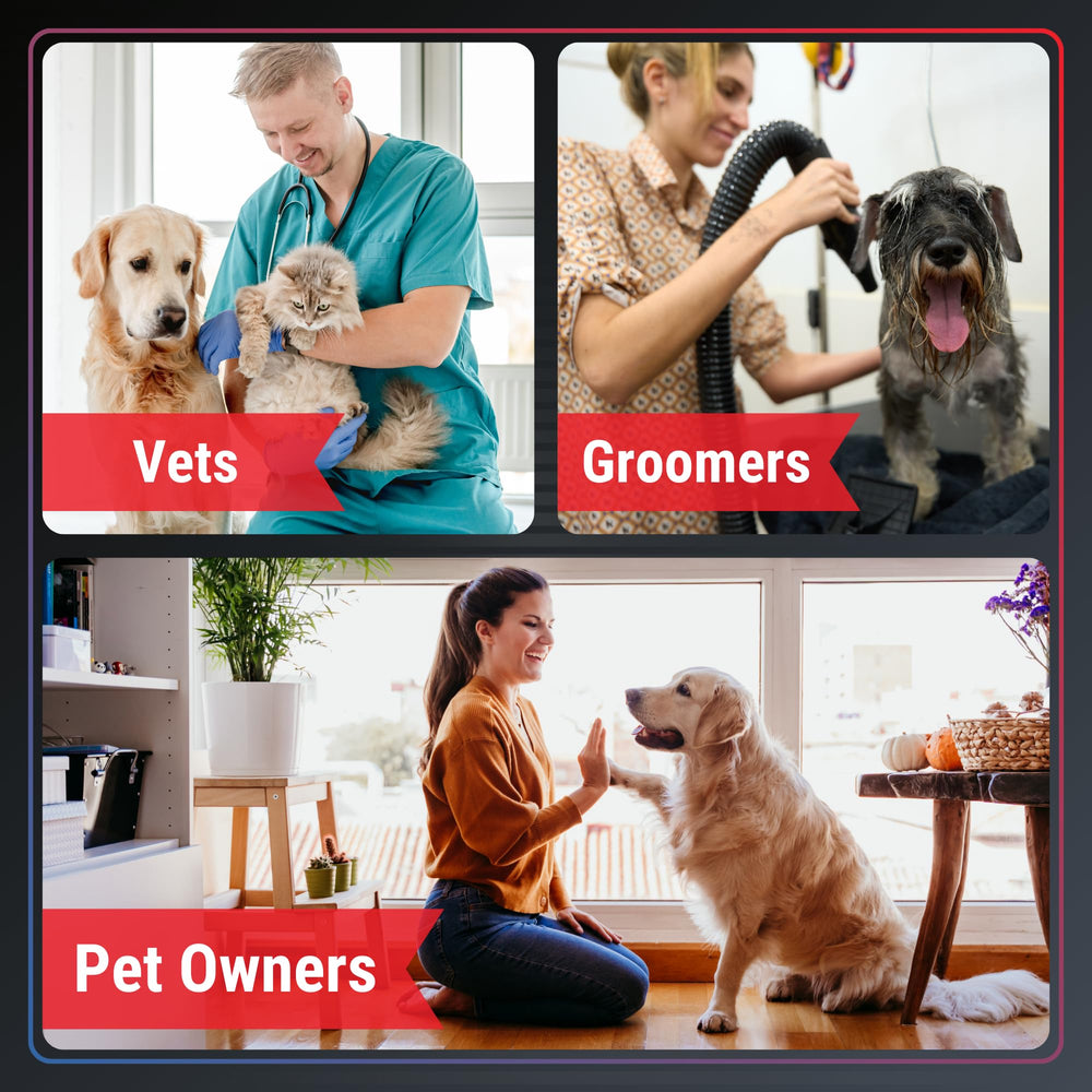 STYPSTIX en usage sur ongle de chien arrêt rapide du saignement