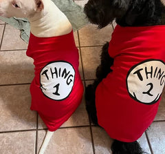 SUEOSU chien portant le t-shirt en promenade, liberté de mouvement