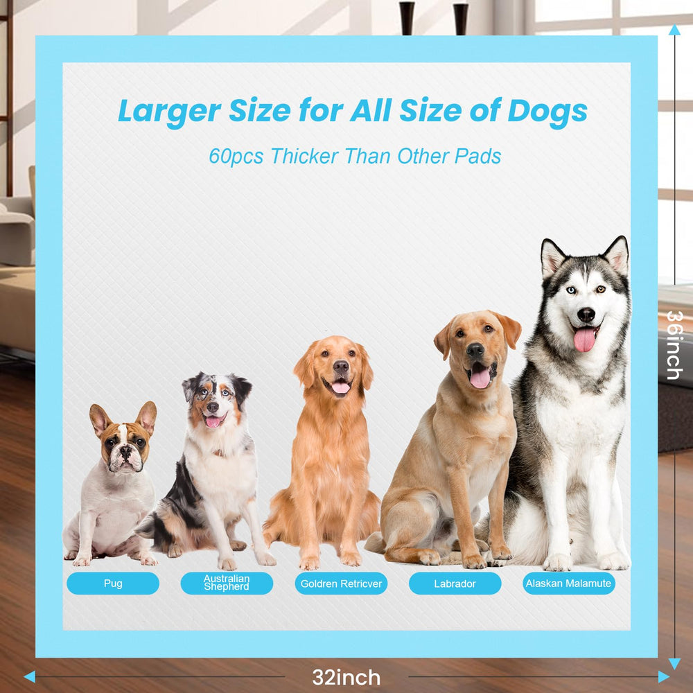 SUGUNING comparaison de taille avec chien illustrant la couverture