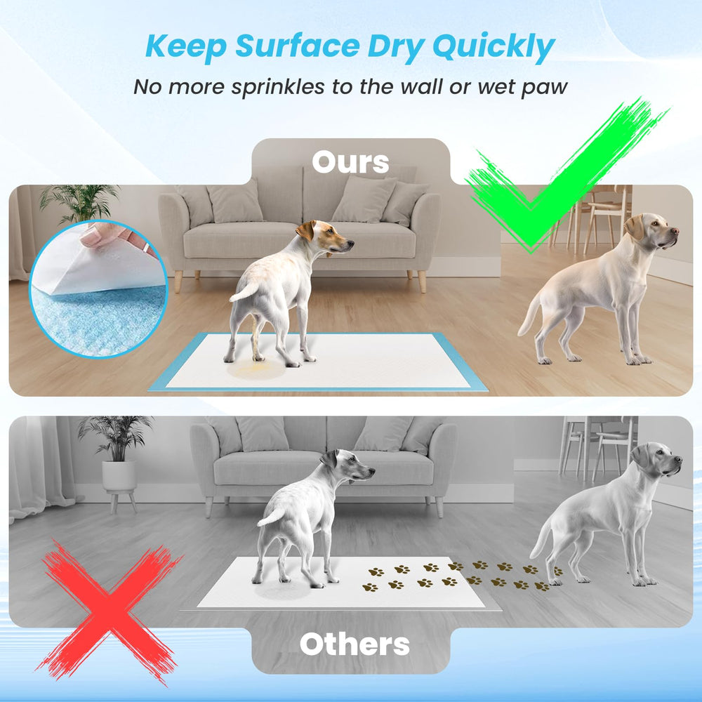 SUGUNING tapis en usage dans une cage offrant confort et propreté