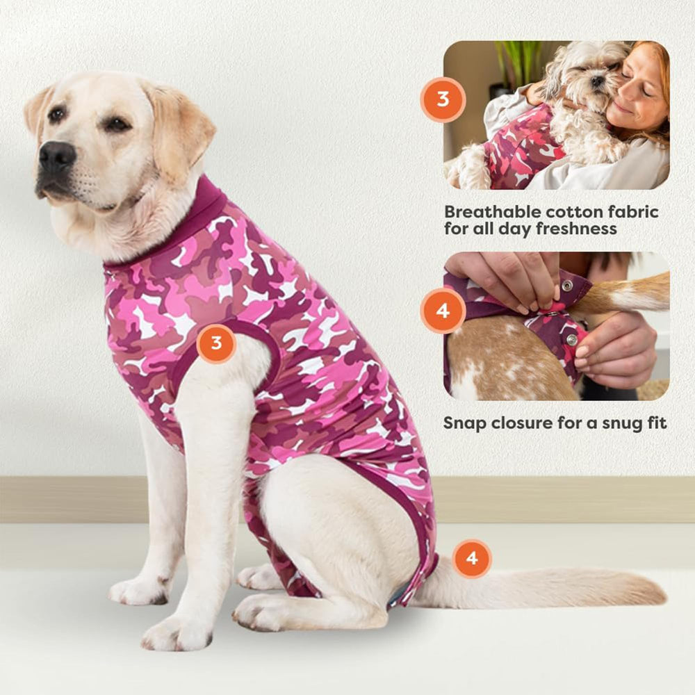 Suitical bandes élastiques au cou et pattes pour maintien doux et sécurité