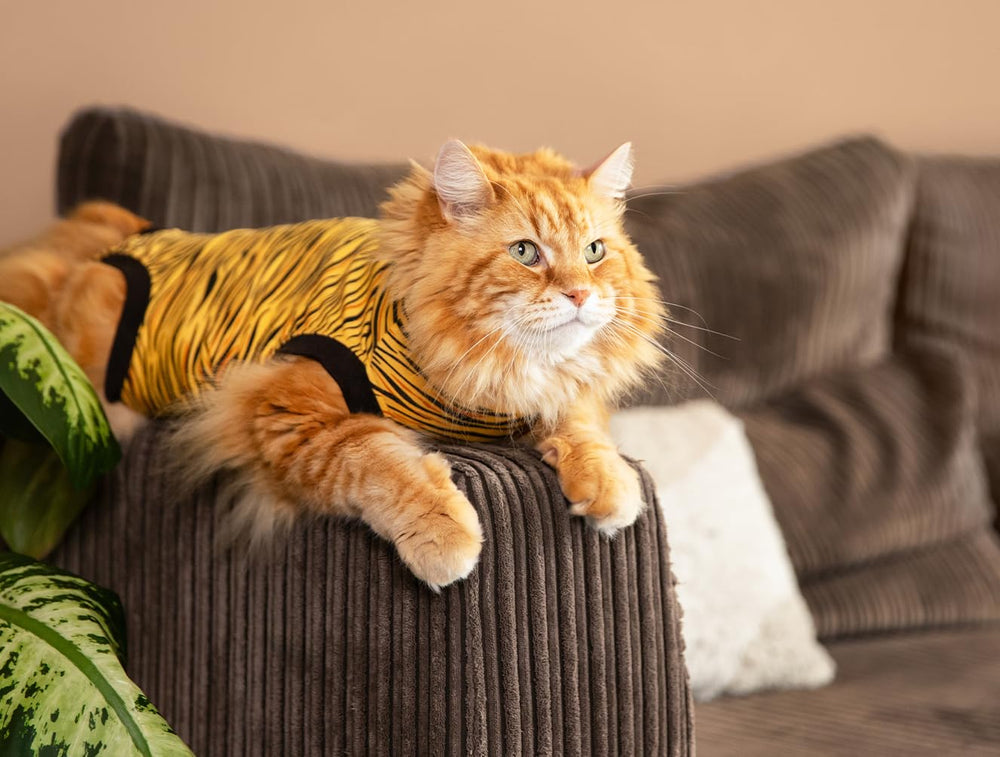 Suitical chat portant la combinaison pour mobilité et protection