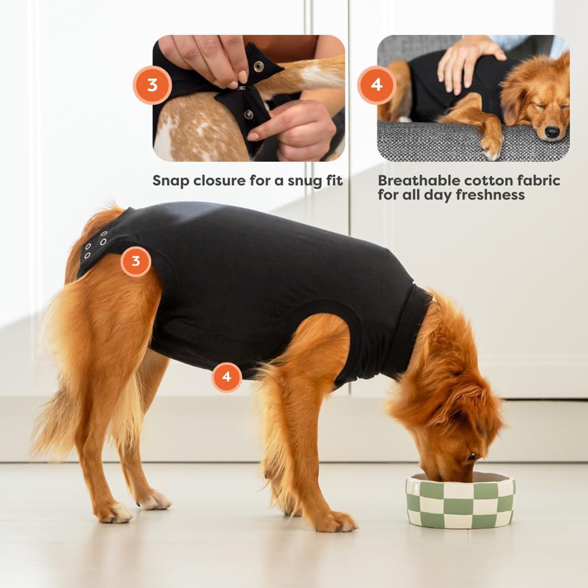 Suitical élastiques aux pattes pour empêcher léchage efficace
