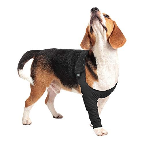 Suitical profil sur chien illustrant liberté de mouvement sécurisée