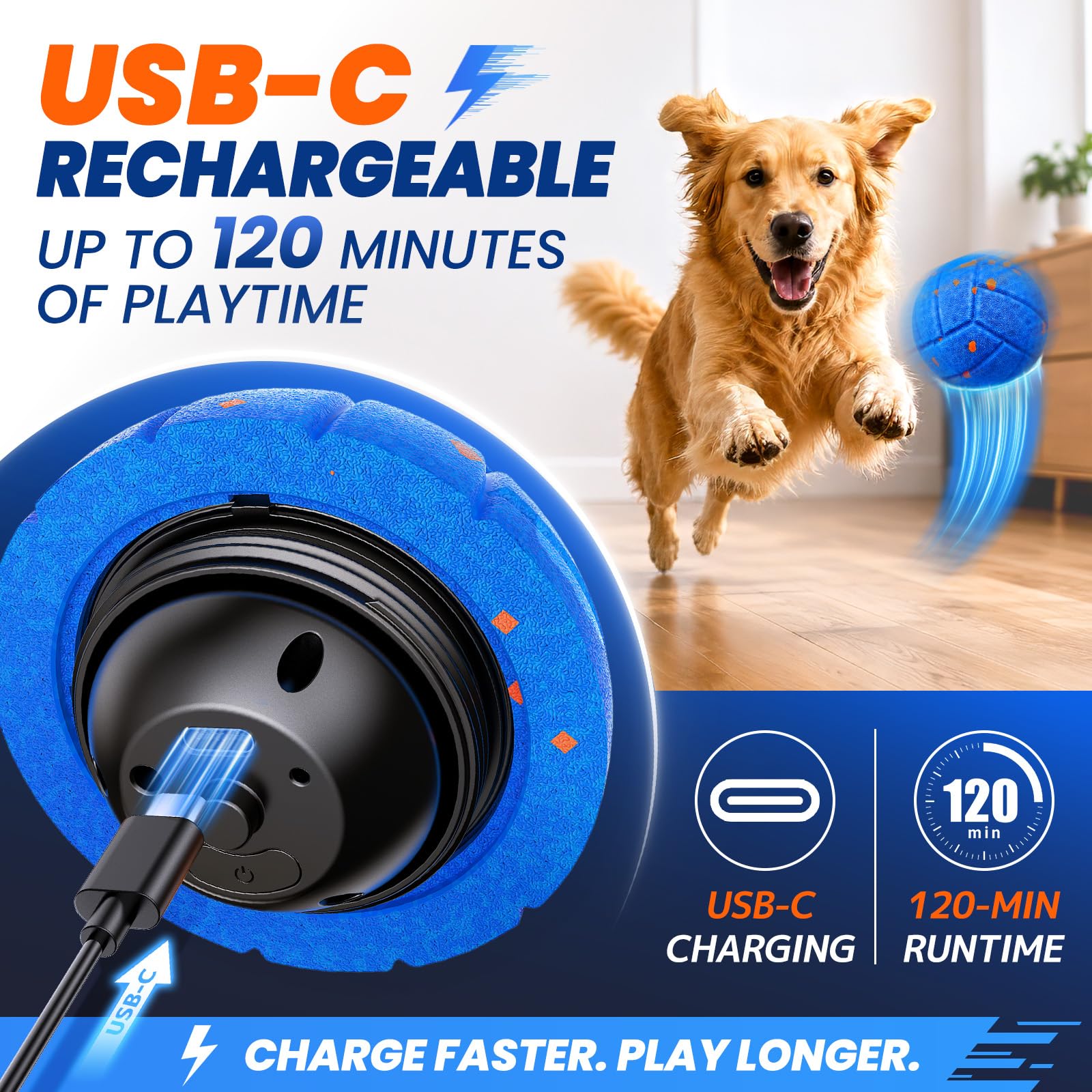 SuivhZx chien en train de poursuivre la balle pour stimulation active