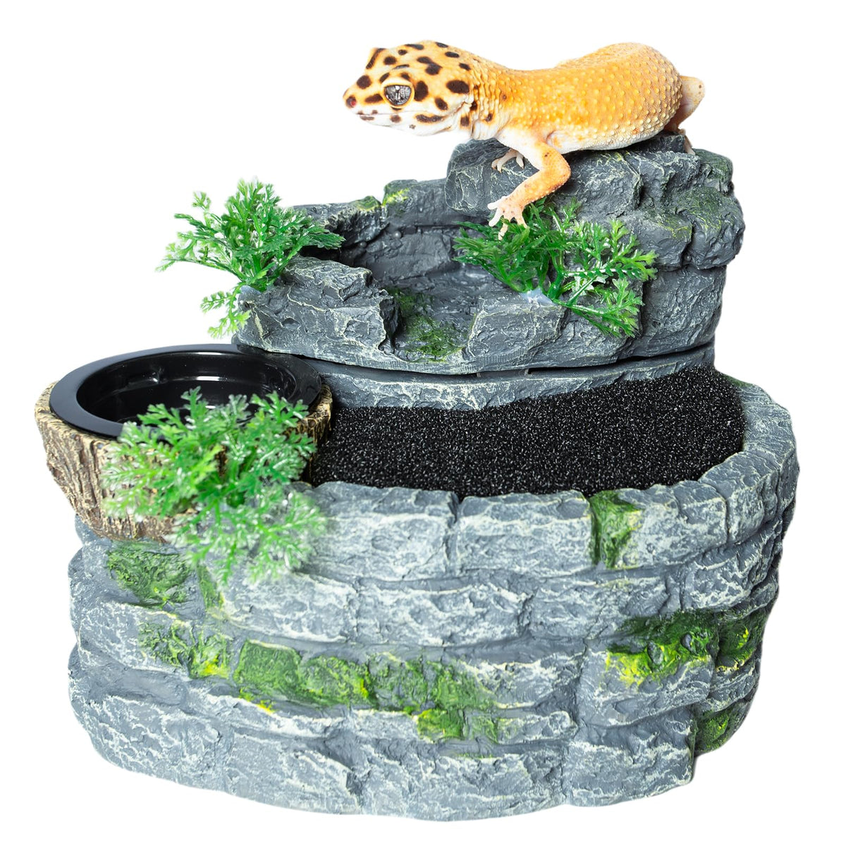 SUKEOPET fontaine vue avant montrant design naturel et attractif pour reptiles