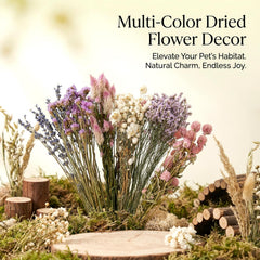 Sukh gros plan texture herbes et fleurs pour stimulation sensorielle