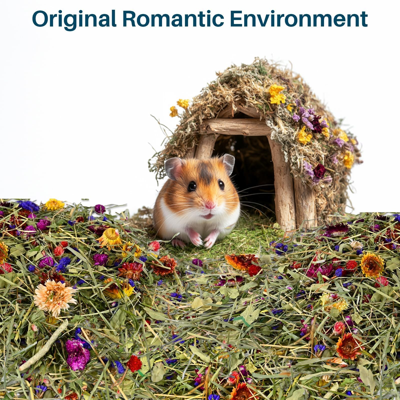 Sukh hamster creusant dans litière, stimule comportements naturels