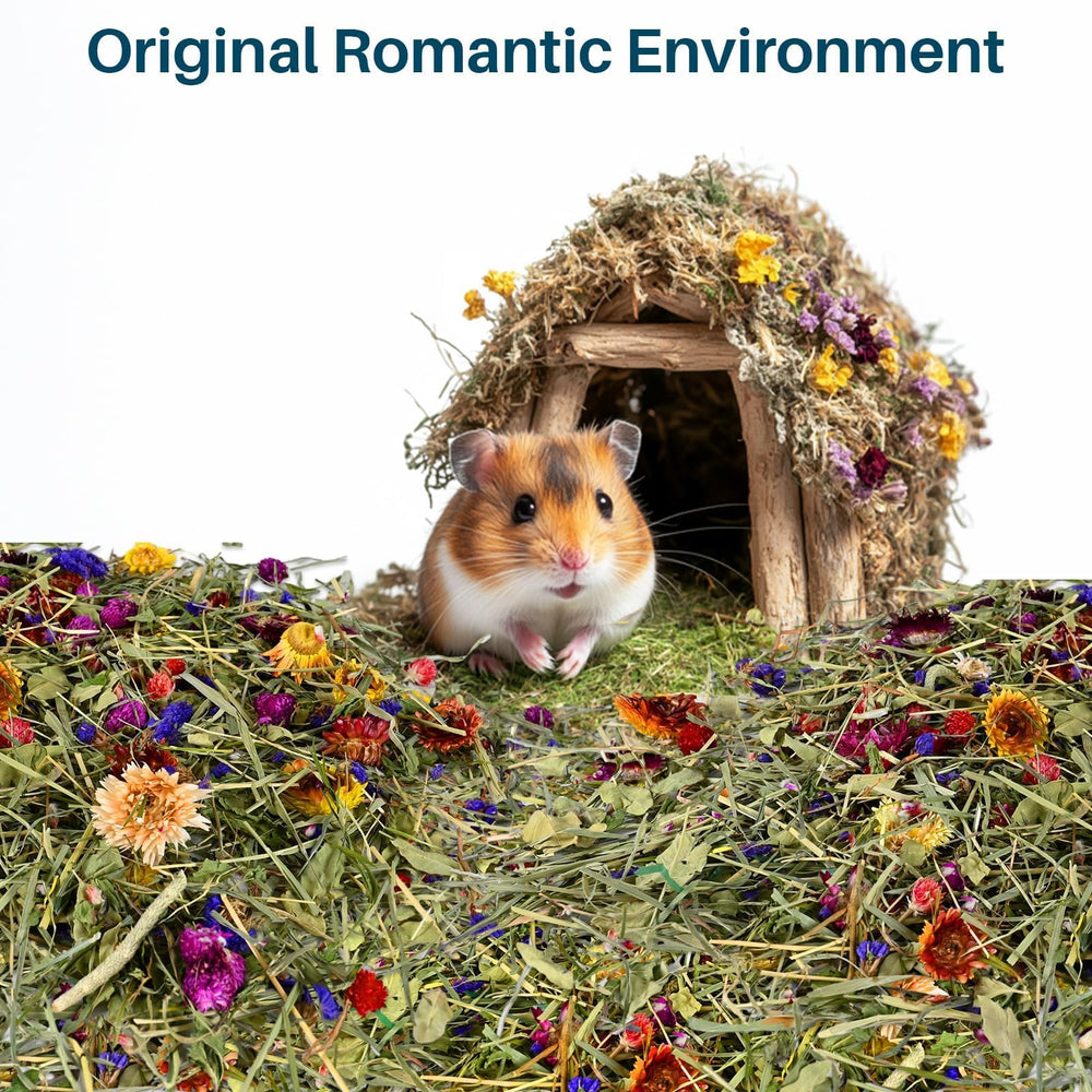 Sukh hamster creusant dans litière, stimule comportements naturels