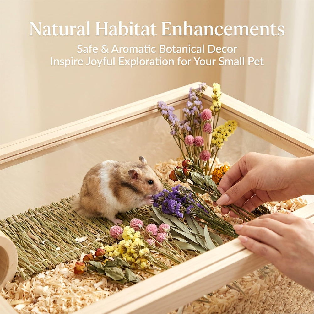 Sukh hamster utilisant le mélange pour creuser et nidifier