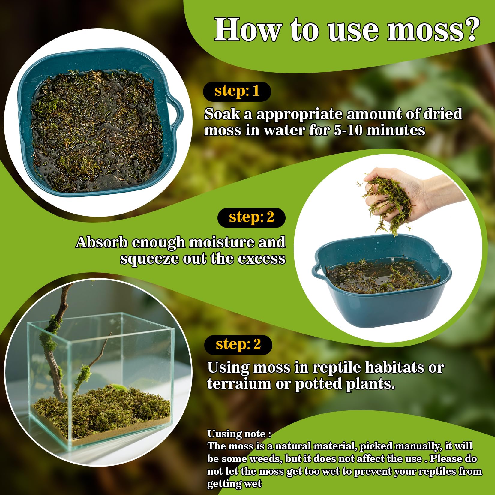 Sukh sphaigne dans terrarium en usage offrant cachettes humides pour reptile