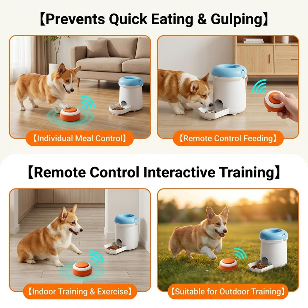 SUKIPAW détail du bouton activable, encourage apprentissage et récompense immédiate