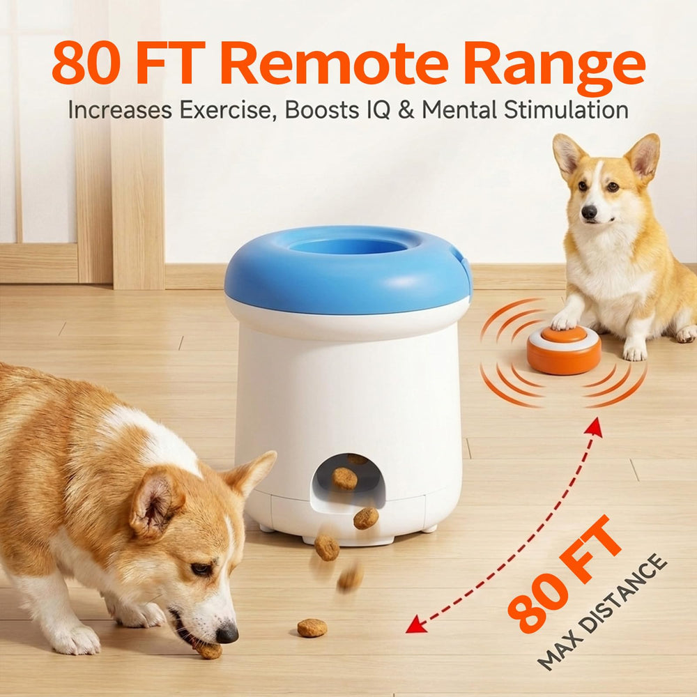 SUKIPAW distribution de friandise en action, stimule mentalement et motive le chien
