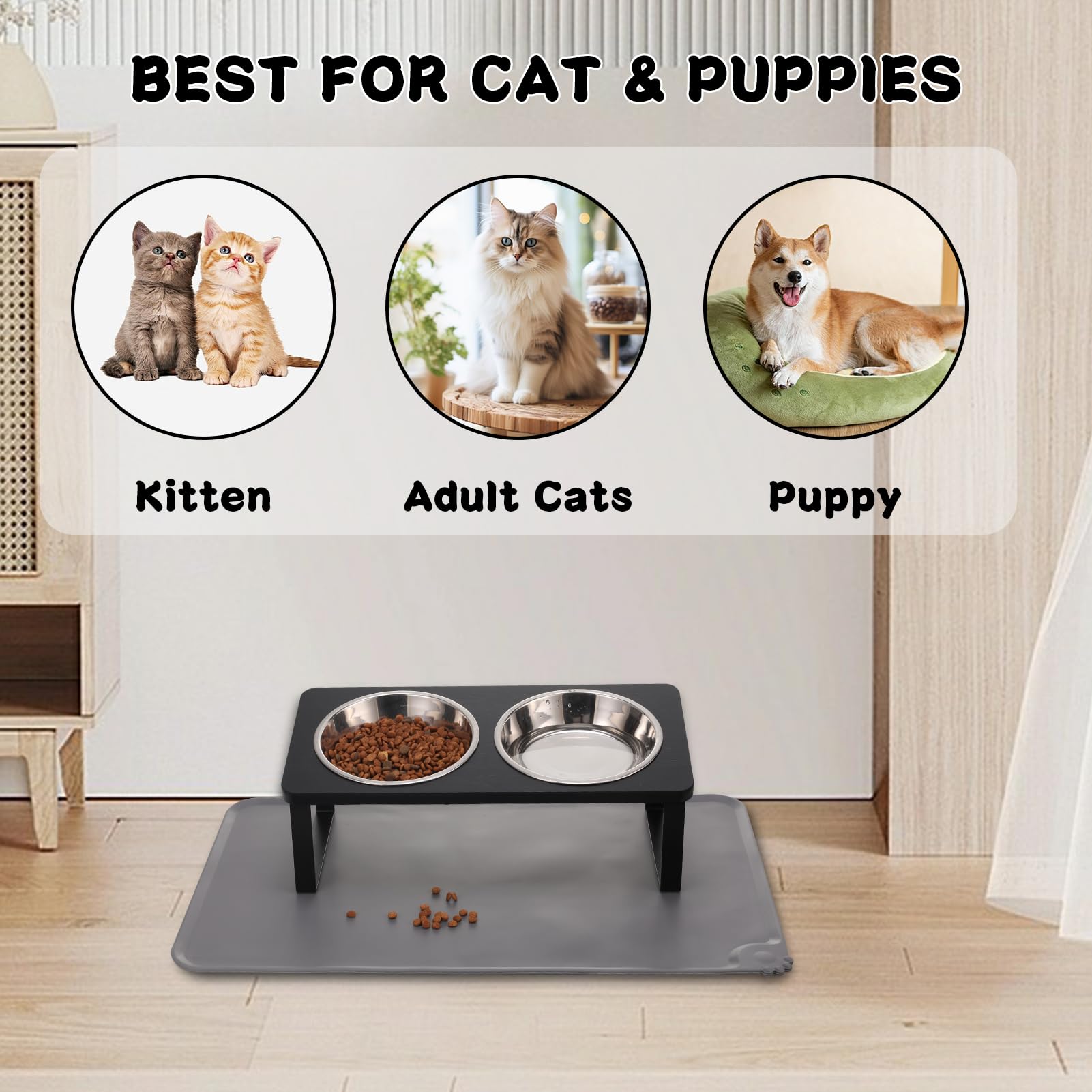 Summark comparaison de taille avec une main, dimensions adaptées aux chats