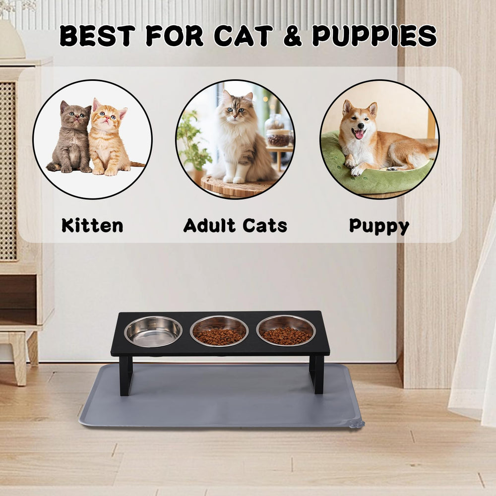 Summark comparaison d'échelle avec main, taille adaptée chats et chiots