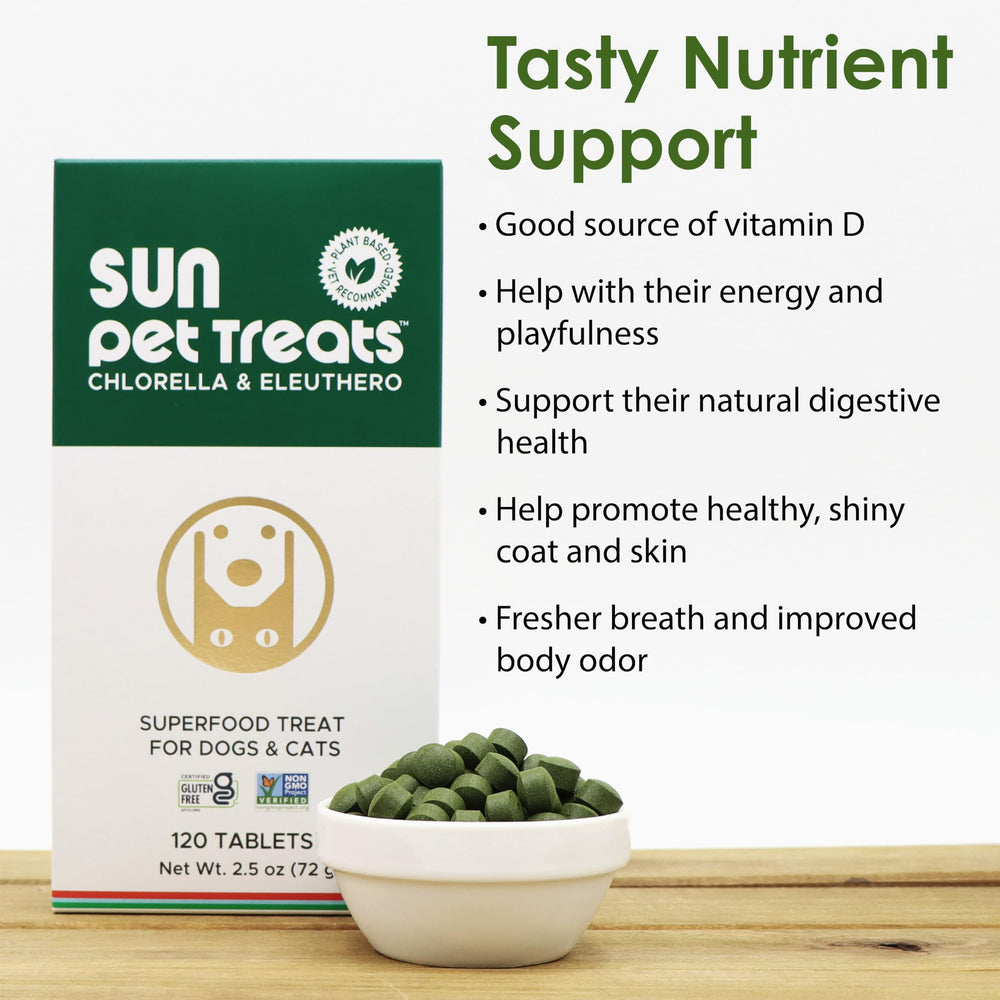 Sun Chlorella friandise en main d’un chien, améliore énergie et jeu