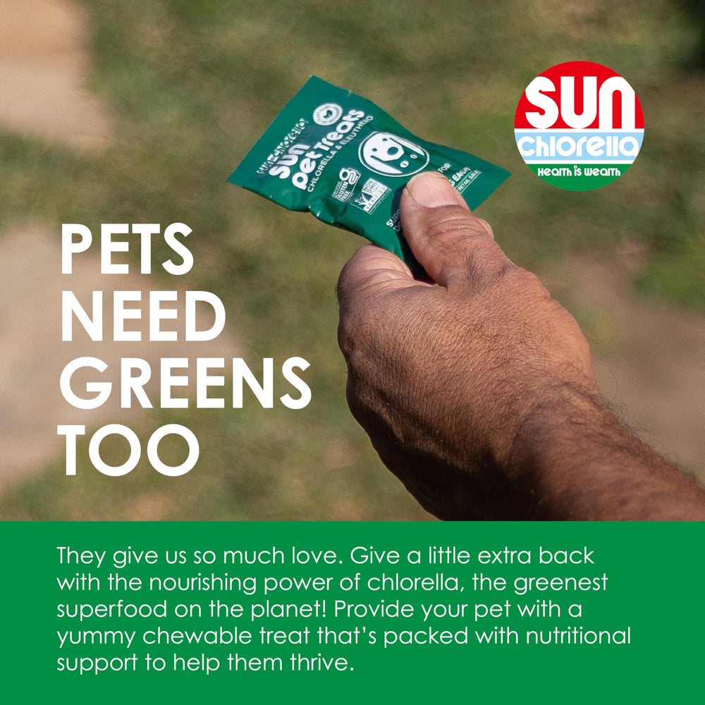 Sun Chlorella friandise gros plan, appétissante et riche en nutriments