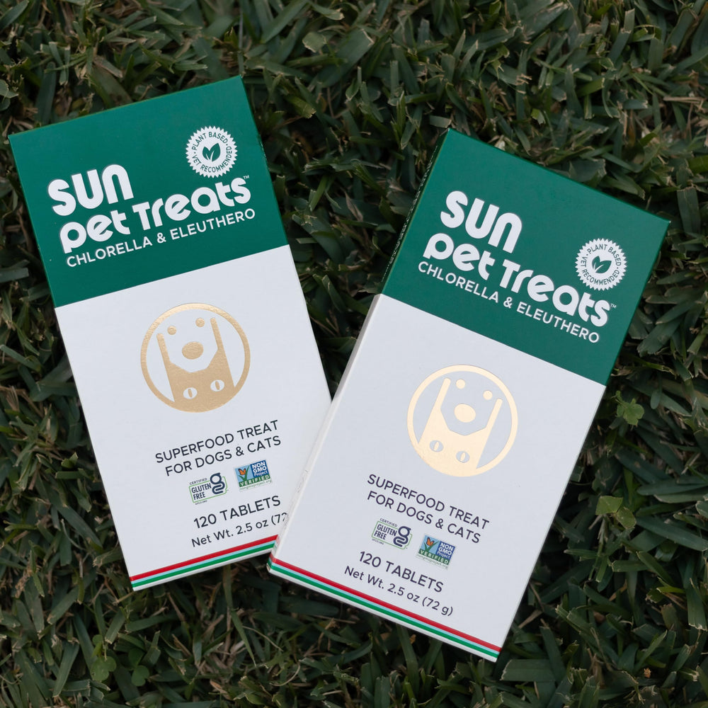Sun Chlorella scène cosy avec friandises, favorise moments complices