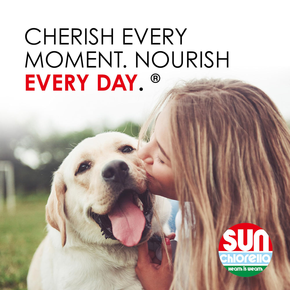 Sun Chlorella texture intérieure de la friandise pour mastication facile