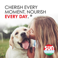 Sun Chlorella texture intérieure de la friandise pour mastication facile