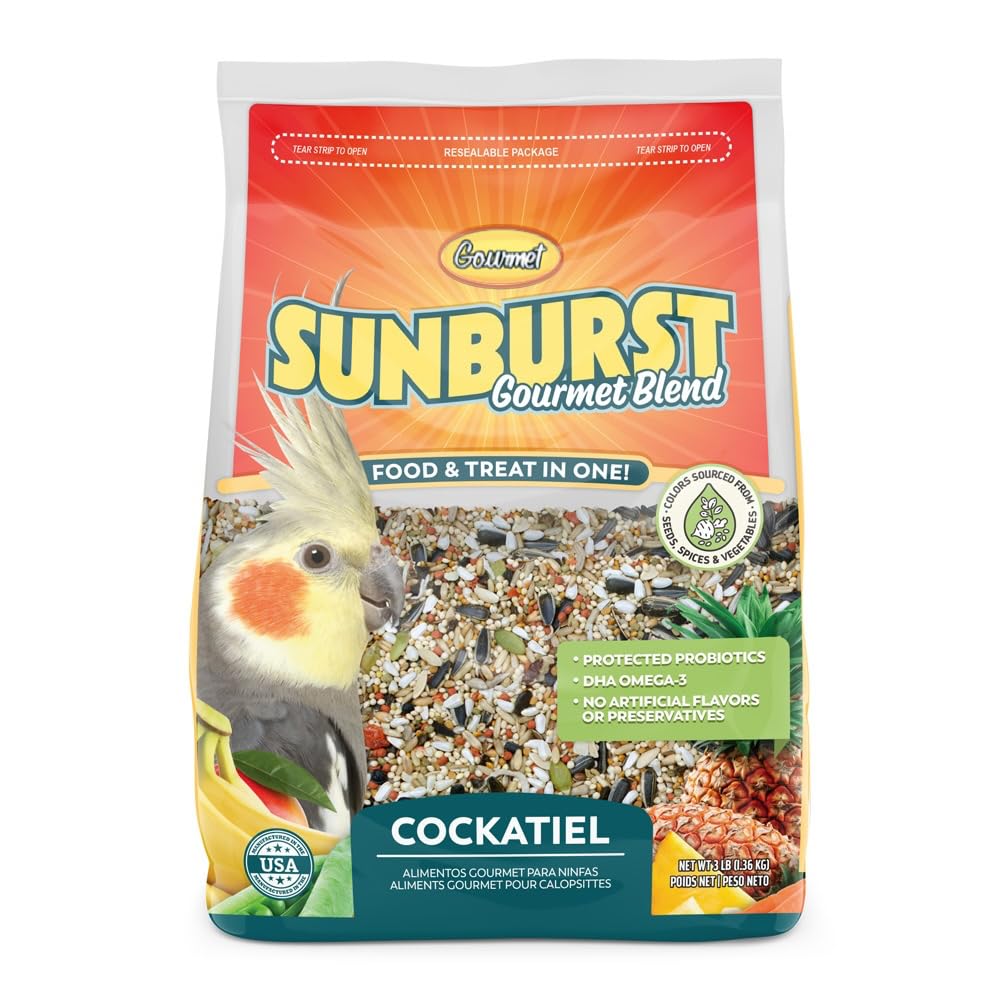 Sunburst gros plan des graines fruits et noix révélant textures variées