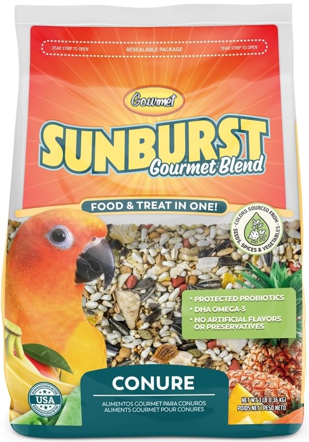 Sunburst gros plan sur graines et fruits montrant variété nutritive