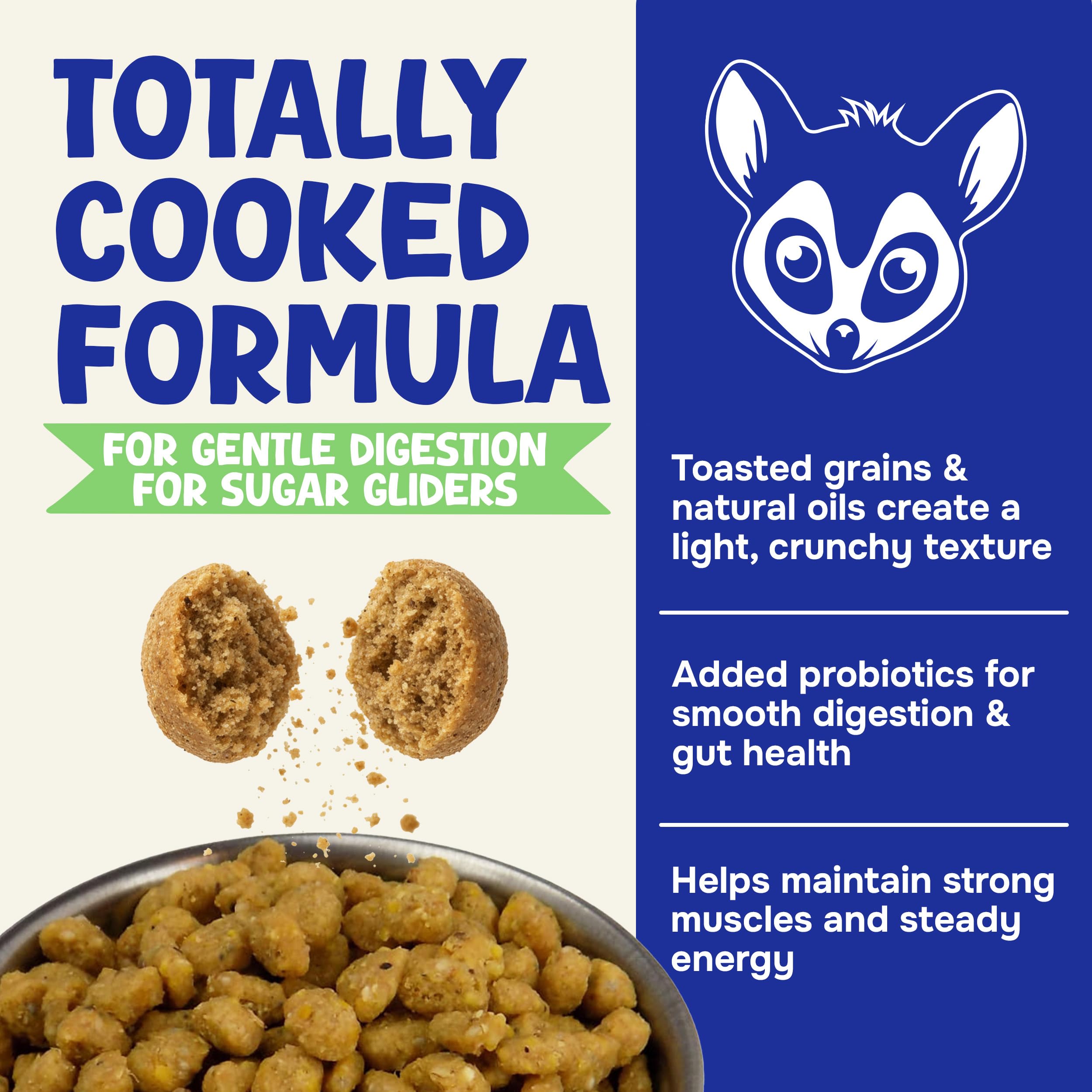 Suncoast Sugar Gliders bol rempli utilisé par un sugar glider pour repas simple