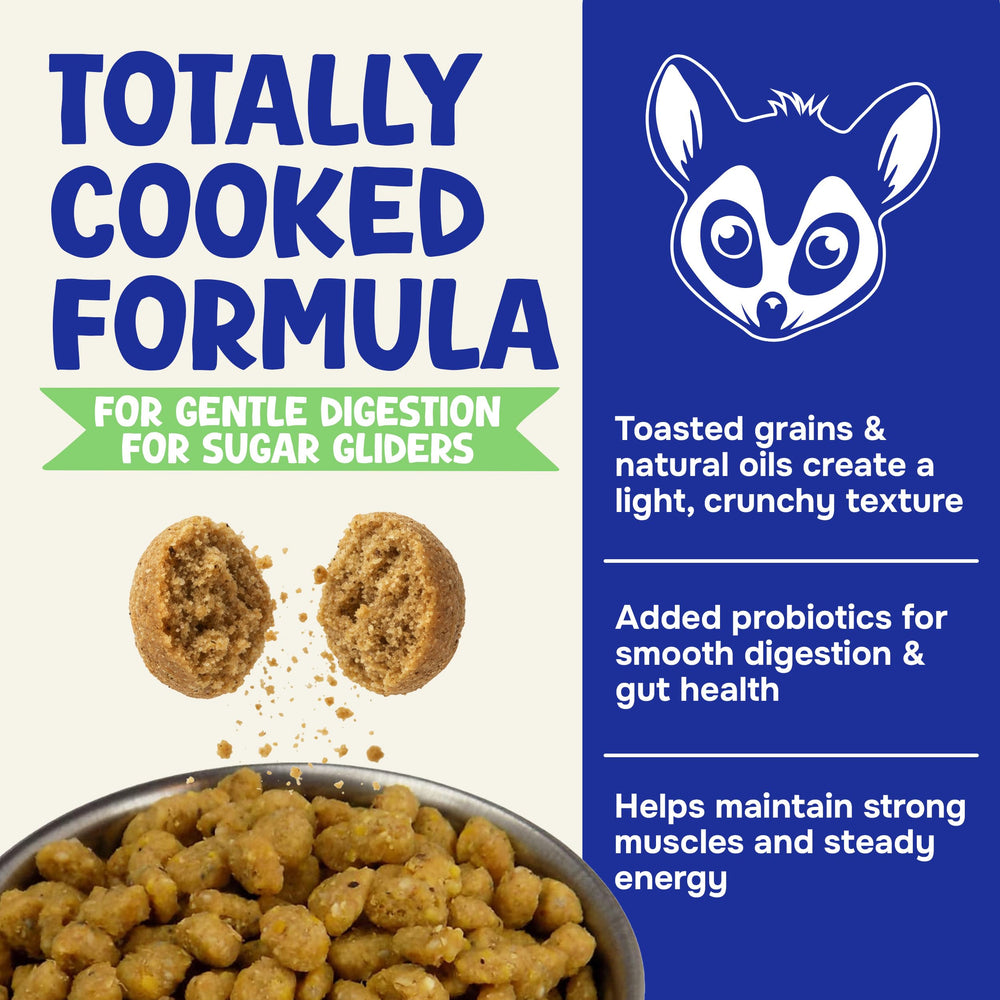 Suncoast Sugar Gliders bol rempli utilisé par un sugar glider pour repas simple