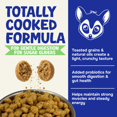 Suncoast Sugar Gliders bol rempli utilisé par un sugar glider pour repas simple