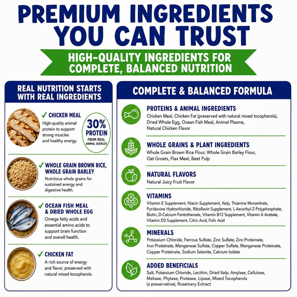 Suncoast Sugar Gliders comparaison taille montrant portion adaptée dans un bol