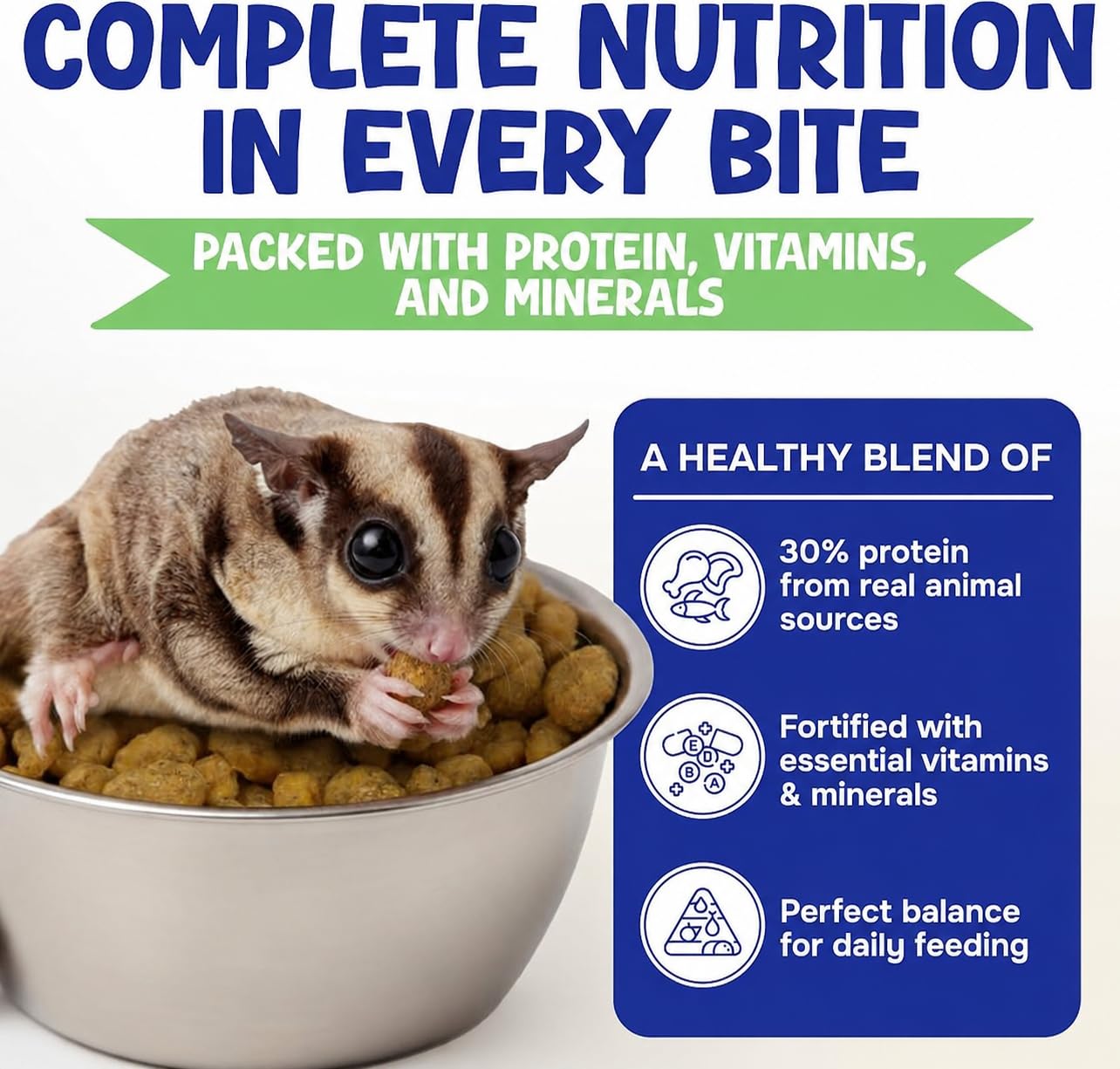 Suncoast Sugar Gliders gros plan sur granulés montrant texture appétente et digestibilité